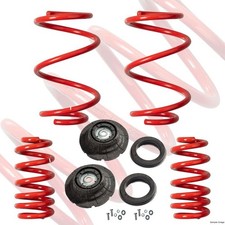 Sport Federn Satz 40mm vorne